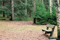 Luontoon on lyhyt matka